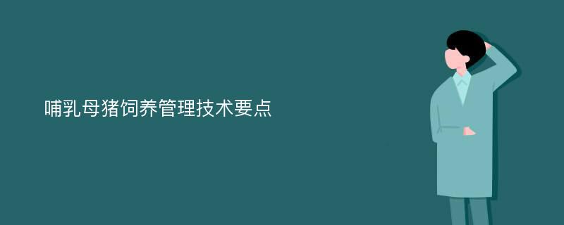 哺乳母猪饲养管理技术要点