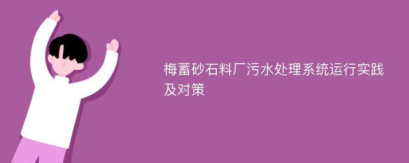 梅蓄砂石料厂污水处理系统运行实践及对策