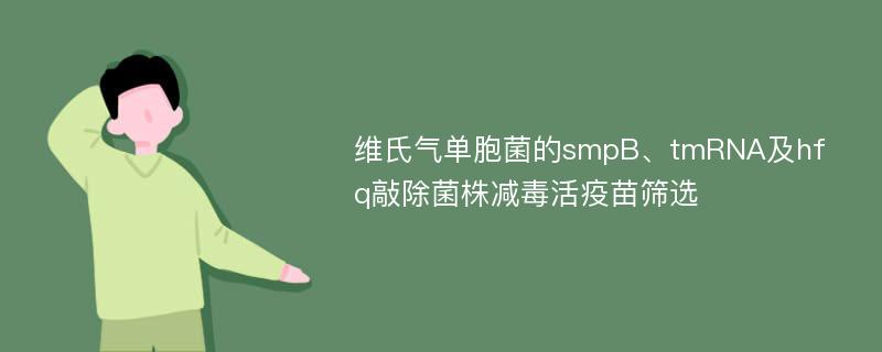 维氏气单胞菌的smpB、tmRNA及hfq敲除菌株减毒活疫苗筛选