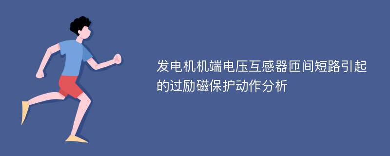 发电机机端电压互感器匝间短路引起的过励磁保护动作分析