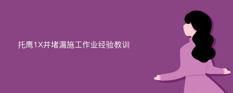 托鹰1X井堵漏施工作业经验教训