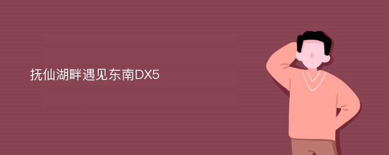 抚仙湖畔遇见东南DX5