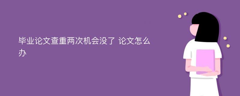 毕业论文查重两次机会没了 论文怎么办