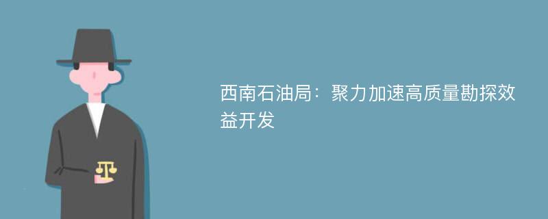 西南石油局：聚力加速高质量勘探效益开发