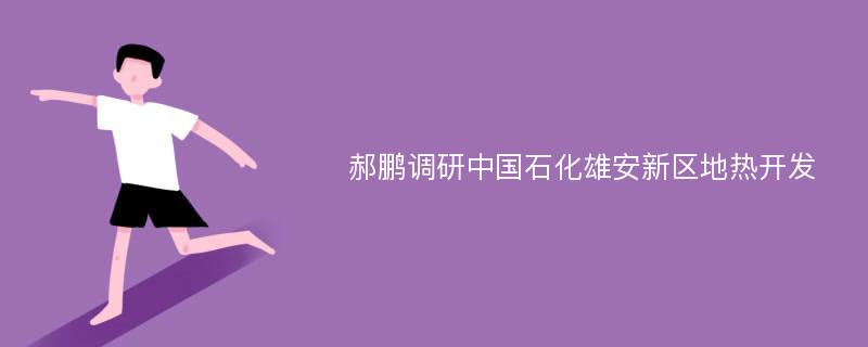 郝鹏调研中国石化雄安新区地热开发