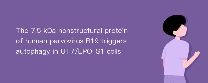 The 7.5 kDa nonstructural protein of human parvovirus B19 triggers autophagy in UT7/EPO-S1 cells