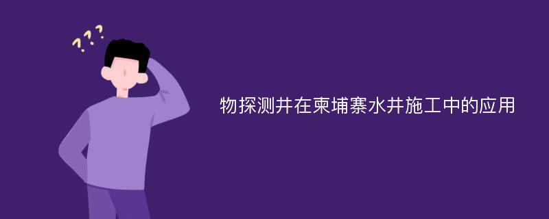 物探测井在柬埔寨水井施工中的应用