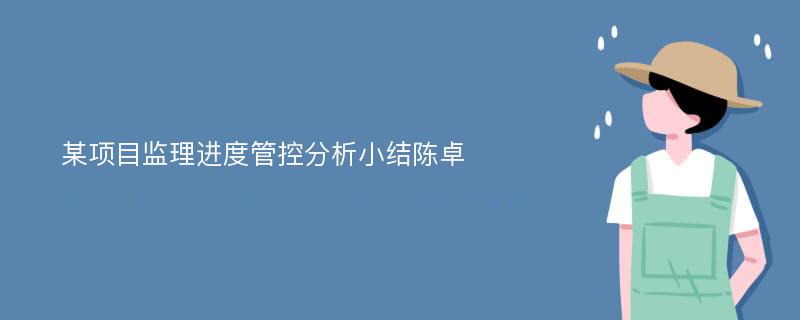 某项目监理进度管控分析小结陈卓