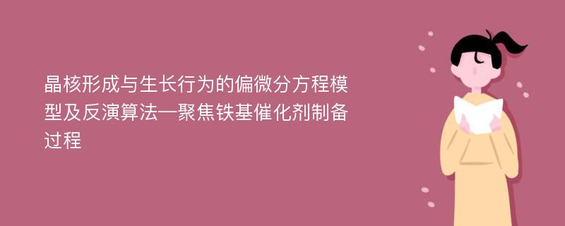 晶核形成与生长行为的偏微分方程模型及反演算法—聚焦铁基催化剂制备过程