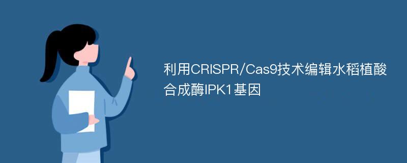 利用CRISPR/Cas9技术编辑水稻植酸合成酶IPK1基因