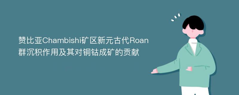 赞比亚Chambishi矿区新元古代Roan群沉积作用及其对铜钴成矿的贡献