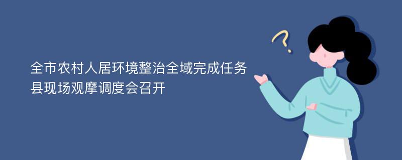 全市农村人居环境整治全域完成任务县现场观摩调度会召开