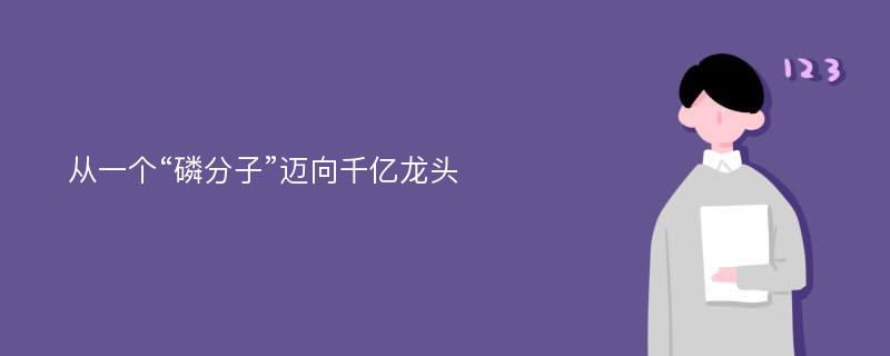 从一个“磷分子”迈向千亿龙头