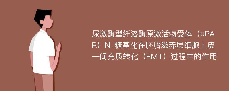 尿激酶型纤溶酶原激活物受体（uPAR）N-糖基化在胚胎滋养层细胞上皮—间充质转化（EMT）过程中的作用