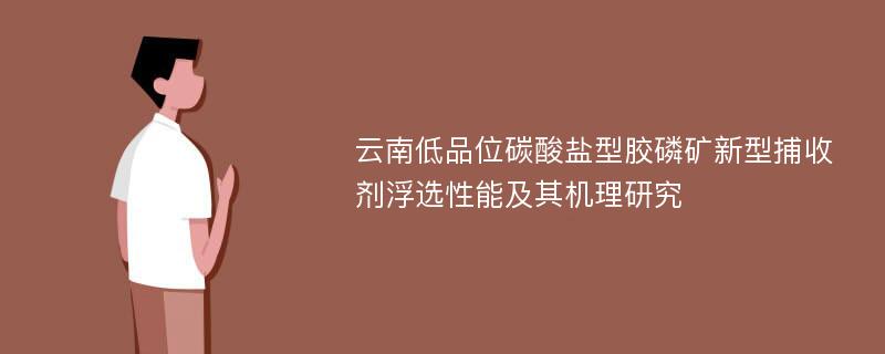 云南低品位碳酸盐型胶磷矿新型捕收剂浮选性能及其机理研究