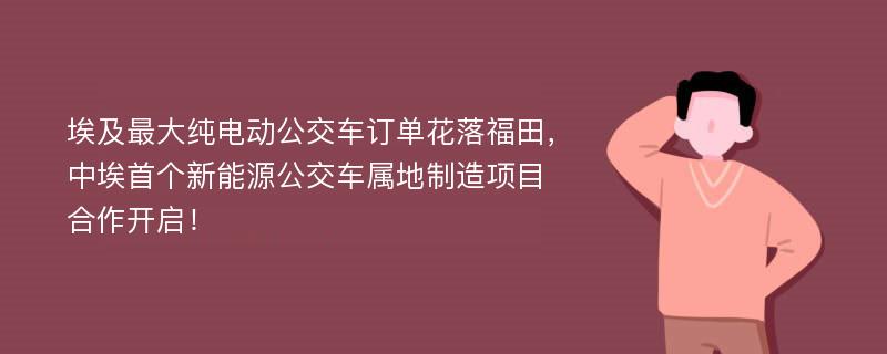 埃及最大纯电动公交车订单花落福田，中埃首个新能源公交车属地制造项目合作开启！