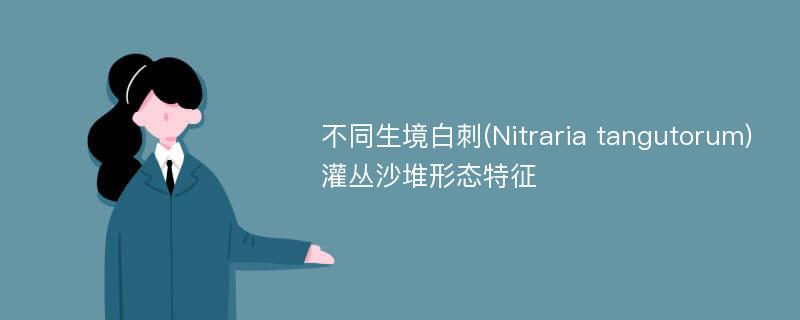 不同生境白刺(Nitraria tangutorum)灌丛沙堆形态特征