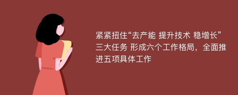 紧紧扭住“去产能 提升技术 稳增长”三大任务 形成六个工作格局，全面推进五项具体工作