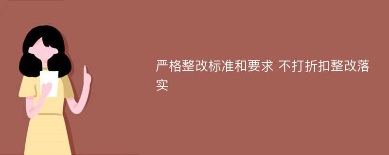 严格整改标准和要求 不打折扣整改落实