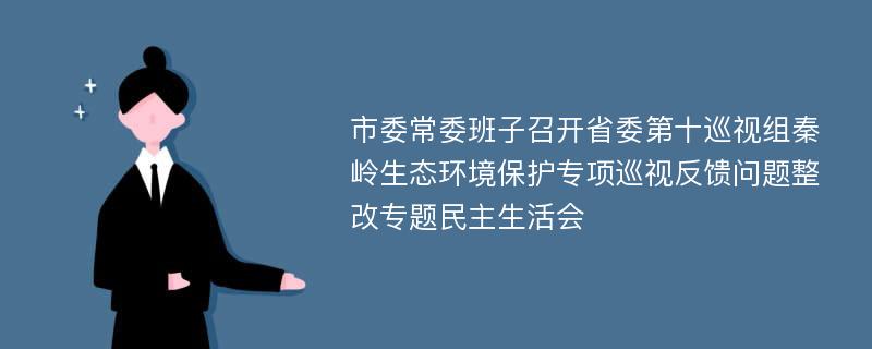 市委常委班子召开省委第十巡视组秦岭生态环境保护专项巡视反馈问题整改专题民主生活会