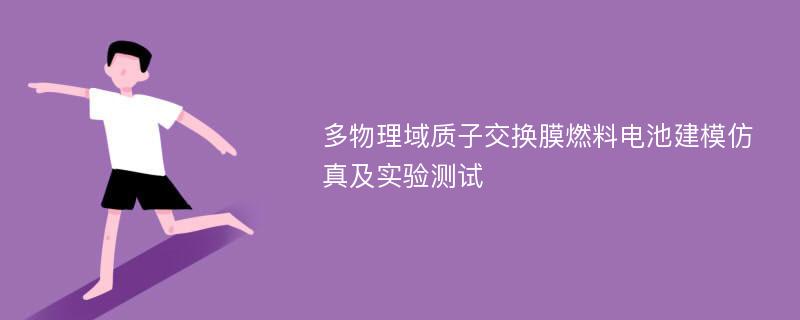 多物理域质子交换膜燃料电池建模仿真及实验测试