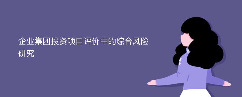 企业集团投资项目评价中的综合风险研究