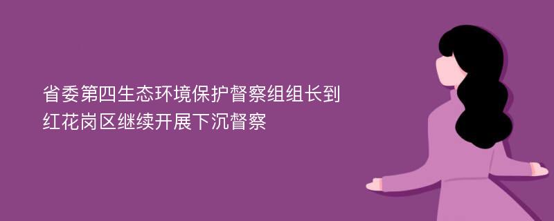 省委第四生态环境保护督察组组长到红花岗区继续开展下沉督察