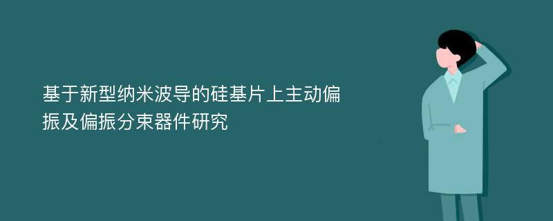 基于新型纳米波导的硅基片上主动偏振及偏振分束器件研究