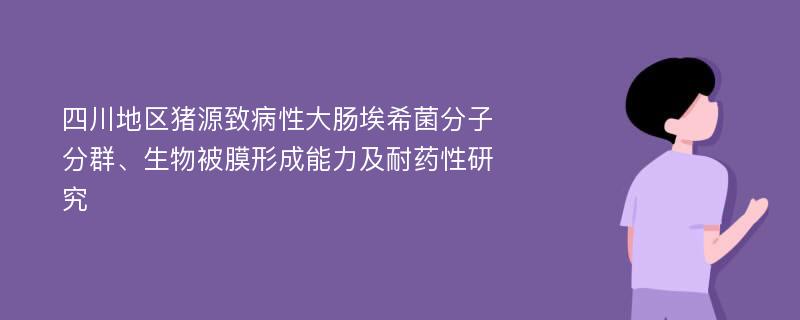 四川地区猪源致病性大肠埃希菌分子分群、生物被膜形成能力及耐药性研究