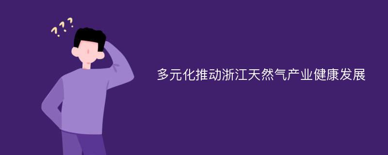 多元化推动浙江天然气产业健康发展