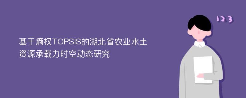 基于熵权TOPSIS的湖北省农业水土资源承载力时空动态研究