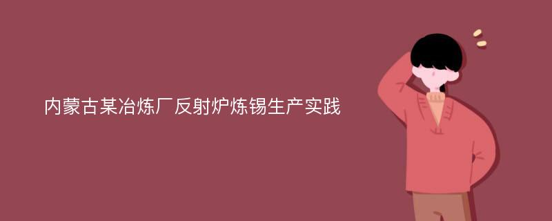 内蒙古某冶炼厂反射炉炼锡生产实践