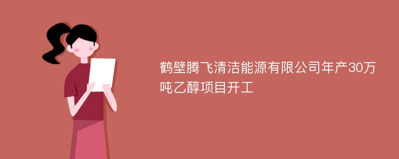 鹤壁腾飞清洁能源有限公司年产30万吨乙醇项目开工