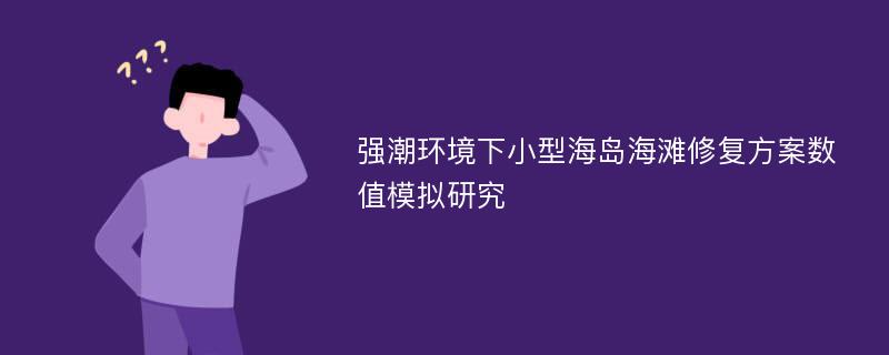 强潮环境下小型海岛海滩修复方案数值模拟研究