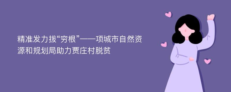 精准发力拔“穷根”——项城市自然资源和规划局助力贾庄村脱贫