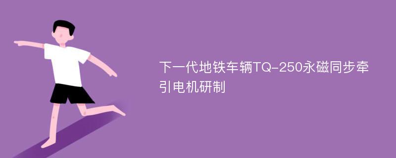 下一代地铁车辆TQ-250永磁同步牵引电机研制