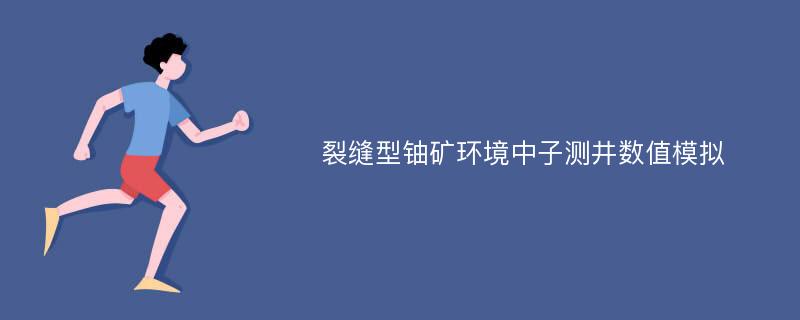 裂缝型铀矿环境中子测井数值模拟