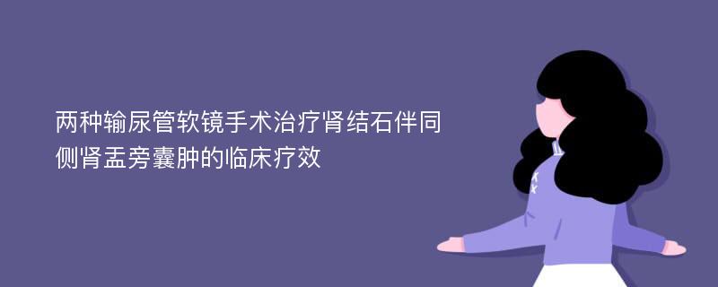 两种输尿管软镜手术治疗肾结石伴同侧肾盂旁囊肿的临床疗效