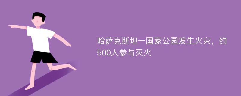 哈萨克斯坦一国家公园发生火灾，约500人参与灭火