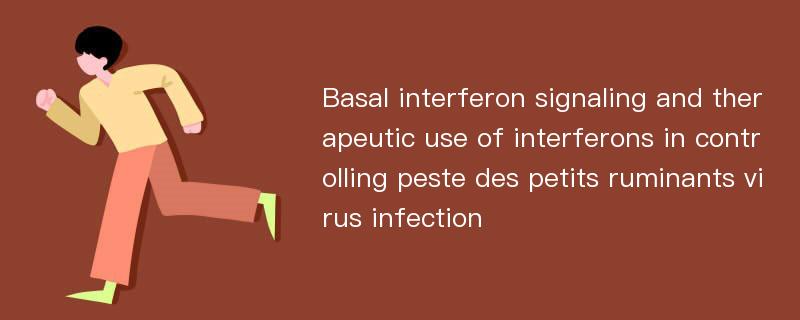 Basal interferon signaling and therapeutic use of interferons in controlling peste des petits ruminants virus infection