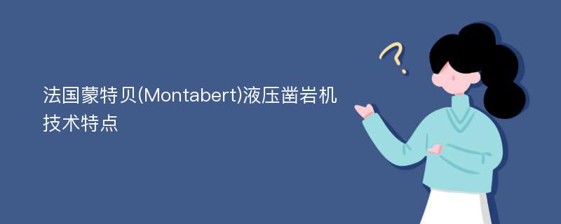 法国蒙特贝(Montabert)液压凿岩机技术特点