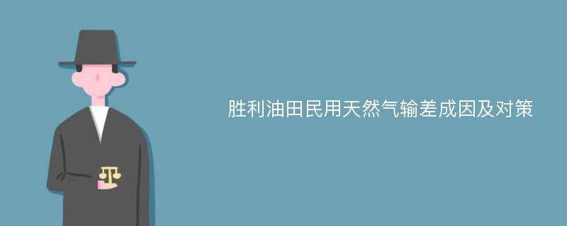 胜利油田民用天然气输差成因及对策