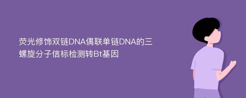 荧光修饰双链DNA偶联单链DNA的三螺旋分子信标检测转Bt基因