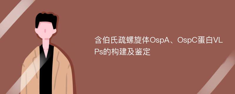 含伯氏疏螺旋体OspA、OspC蛋白VLPs的构建及鉴定