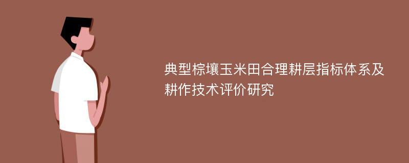 典型棕壤玉米田合理耕层指标体系及耕作技术评价研究