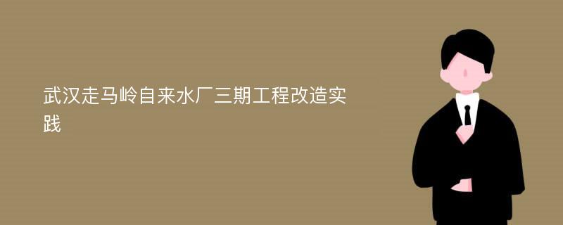 武汉走马岭自来水厂三期工程改造实践