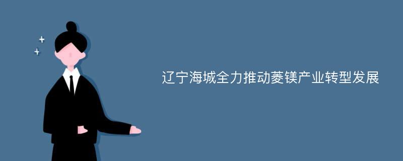 辽宁海城全力推动菱镁产业转型发展