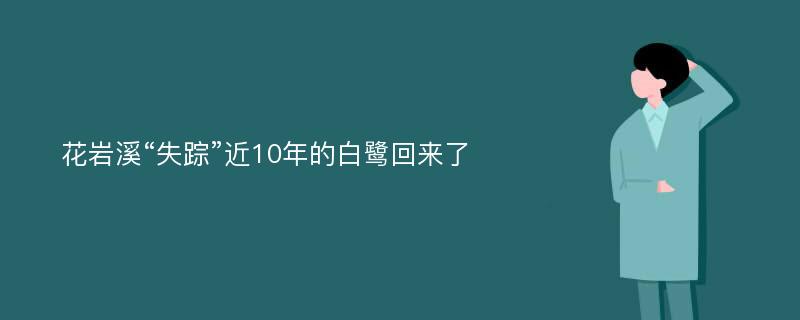 花岩溪“失踪”近10年的白鹭回来了