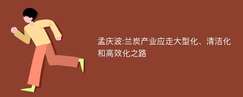 孟庆波:兰炭产业应走大型化、清洁化和高效化之路