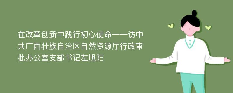 在改革创新中践行初心使命——访中共广西壮族自治区自然资源厅行政审批办公室支部书记左旭阳